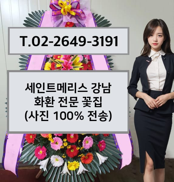 세인트메리스 강남 전경